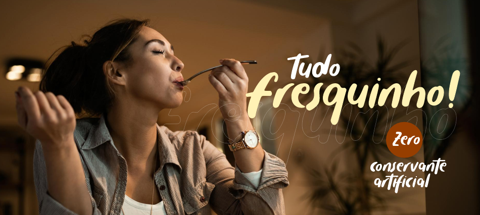 Pudim Congelado | Diveneto Alimentos Pudim Congelado | Diveneto Alimentos